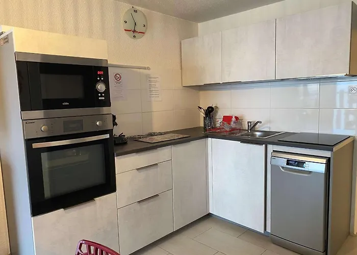 T2 Lumineux Rénové Avec Vue étang, Clim, Parking, Wifi - Fr-1-553-205 Appartement *
