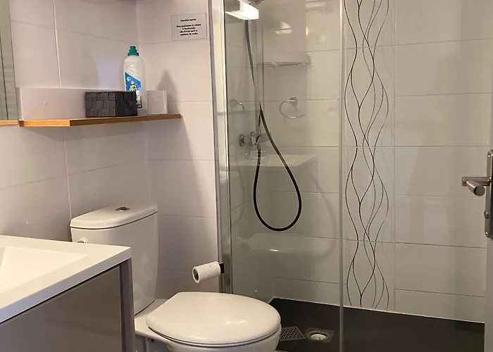 T2 Lumineux Rénové Avec Vue étang, Clim, Parking, Wifi - Fr-1-553-205