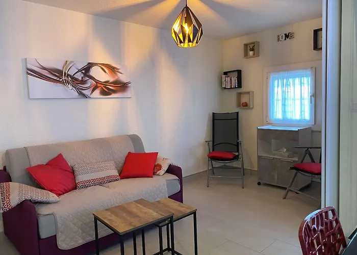 Apartmán T2 Lumineux Renove Avec Vue Etang, Clim, Parking, Wifi - Fr-1-553-205